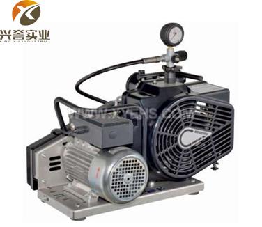 MSA 100EFI1高压呼吸空气压缩机/压缩空气充气泵