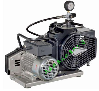 MSA 100EFI1高压呼吸空气压缩机/压缩空气充气泵