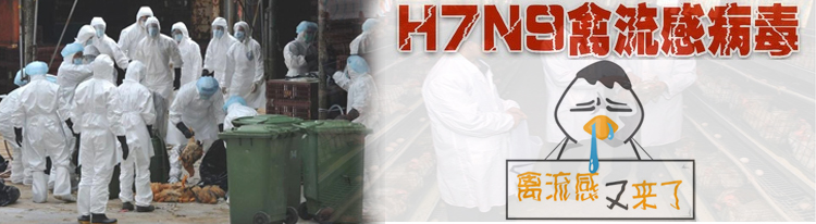 H7N9禽流感病毒防护方案